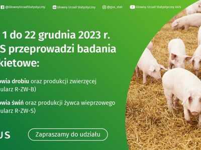 plakat badania