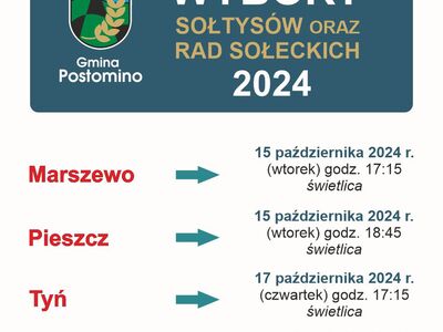 wybory sołtysa