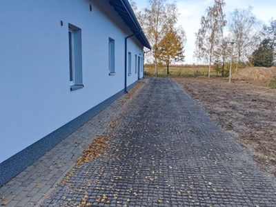 1761645576699.jpg[small]