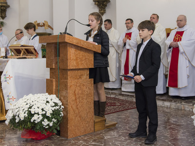 Uroczystości 103 Rocznicy Odzyskania Niepodległości w Krzakach - Msza Święta w kościele pw. Świętych Piotra i Pawła.