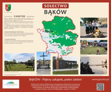 Bąków
