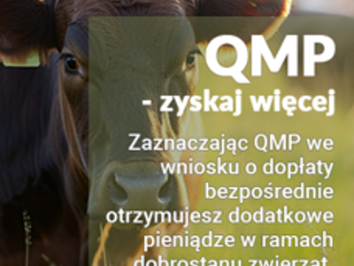 grafika dopłaty do bydła