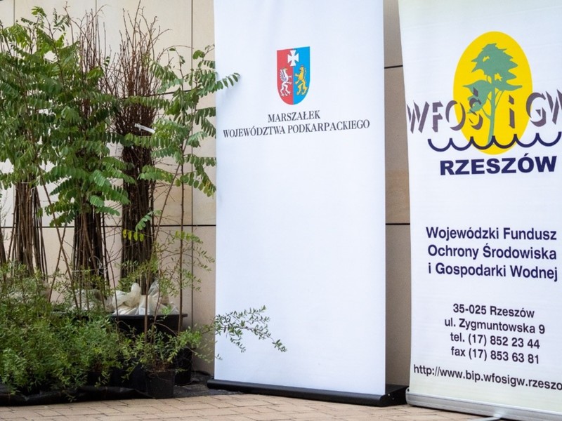 sadzenie drzew i krzewów miododajnych