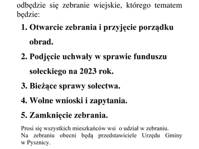 Zebranie wiejskie