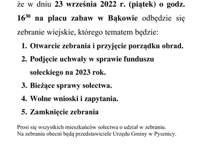 Zebranie wiejskie.