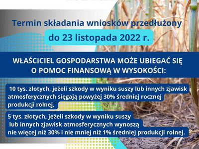Pomoc klęskowa