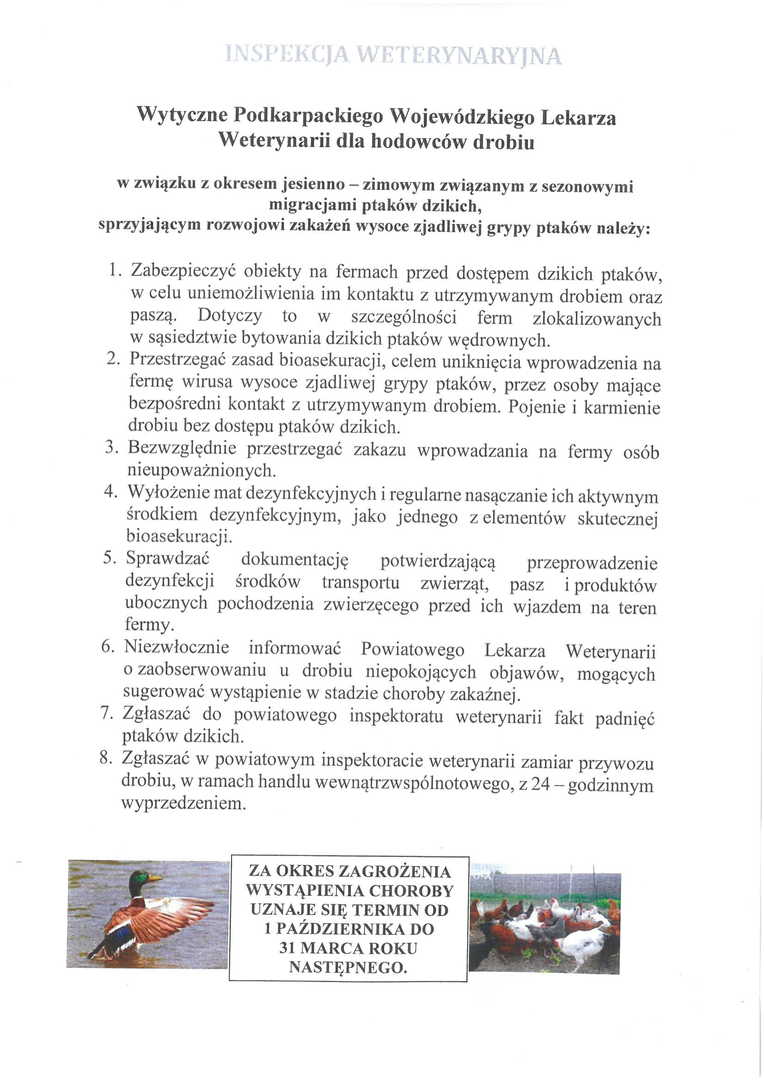 Wytyczne Podkarpackiego Wojewódzkiego Lekarza Weterynarii dla hodowców drobiu.