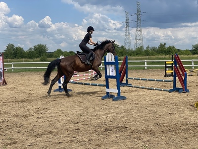 KONKURS W SKOKACH PRZEZ PRZESZKODY STARTY INDYWIDUALNE W KATEGORII 80 CM