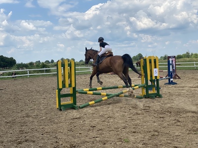 KONKURS W SKOKACH PRZEZ PRZESZKODY STARTY INDYWIDUALNE W KATEGORII 80 CM