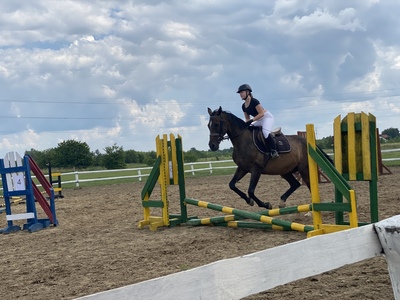 KONKURS W SKOKACH PRZEZ PRZESZKODY STARTY INDYWIDUALNE W KATEGORII 80 CM