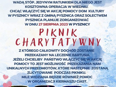 Piknik charytatywny plakat informacyjny