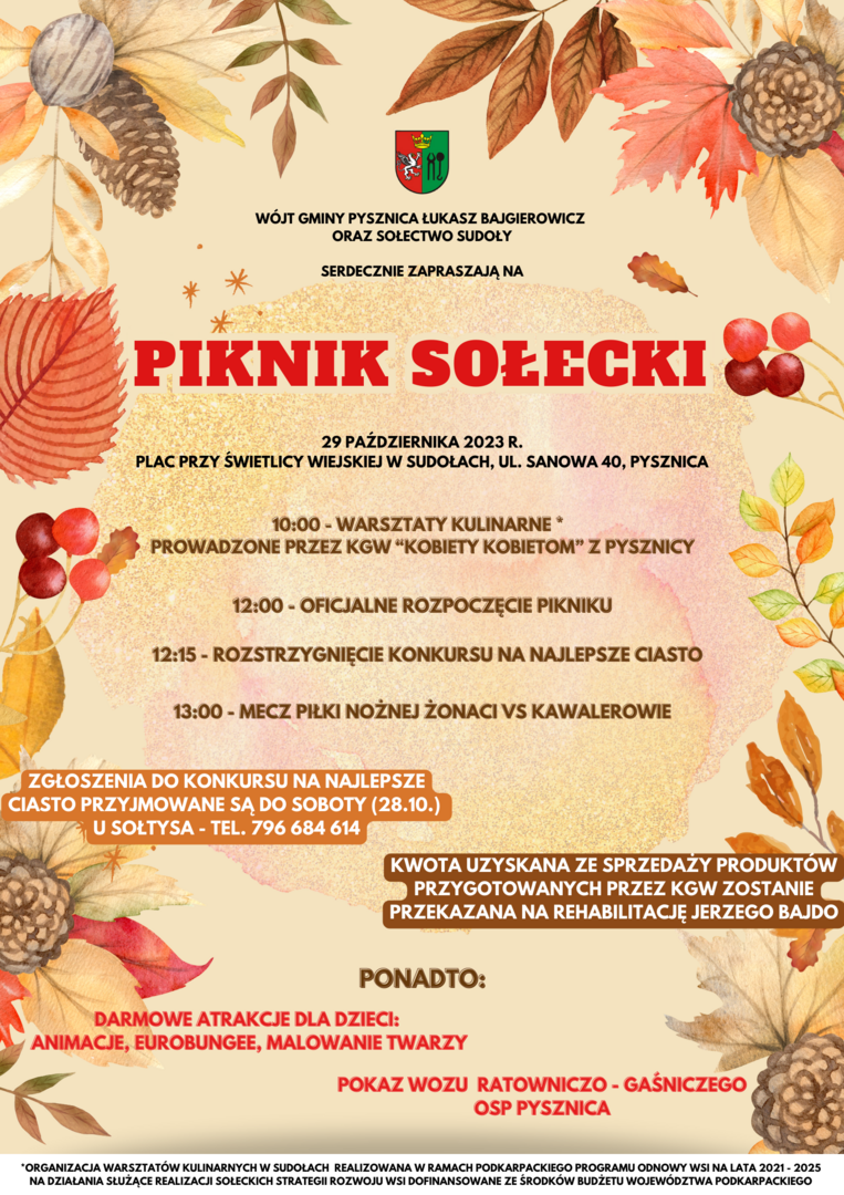 Piknik w Sudołach