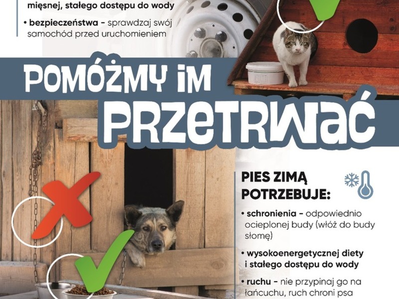 PLAKAT Z AKCJĄ POMÓŻMY IM PRZETRWAĆ