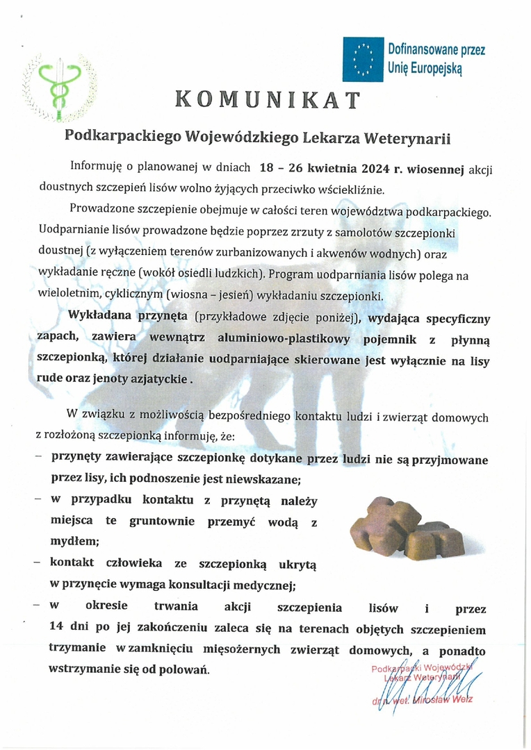 Plakat informujący o wiosennej akcji szczepienia lisów w dniach od 18 do 26 kwietnia 2024 rku