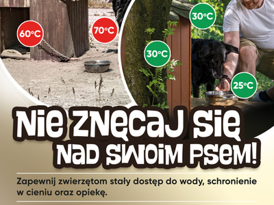 Plakat informujący o akcji nie znęcaj się nad swoim psem.