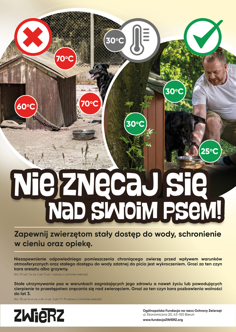 Plakat informujący o akcji nie znęcaj się nad swoim psem.