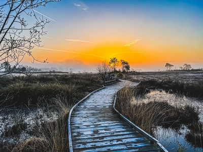 Ścieżka Edukacyjna "Dolina Bobrów" i Kładka Widokowa