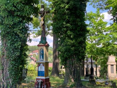 Zdjęcie przedstawia stary cmentarz w Syryni.