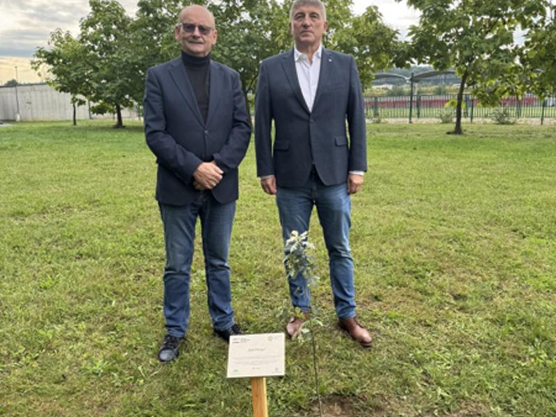 Zdjęcie przedstawia sadzenie  „Dębów Pokoju” na 80. rocznicę Tragedii Górnośląskiej