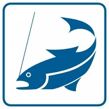 Ryba