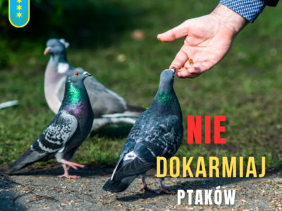 Nie dokarmiajmy ptaków i innych zwierząt