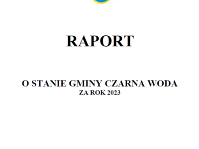raport
