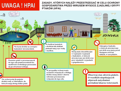 Ulotka informacyjna