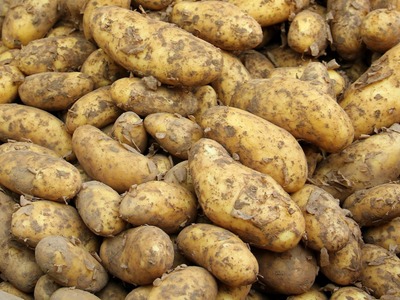 Ziemniaki