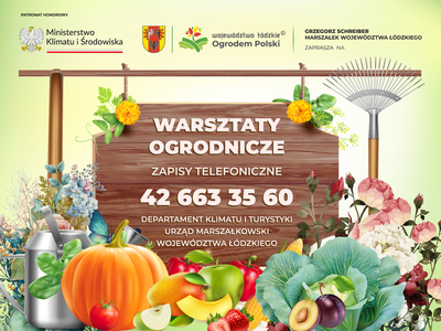 Plakat promujący