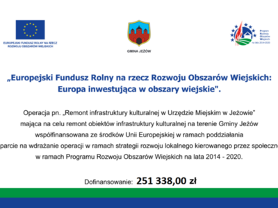 Logo informacji