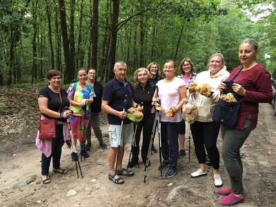 Osoby uprawiające nording walking - fot. MDK Jeżów