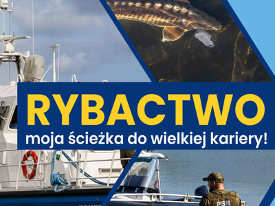 Okładka publikacji
