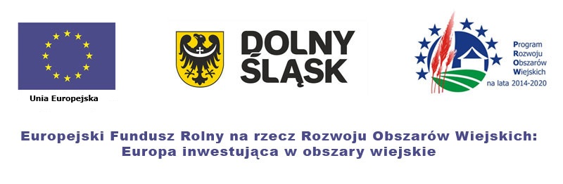 logo_prow1