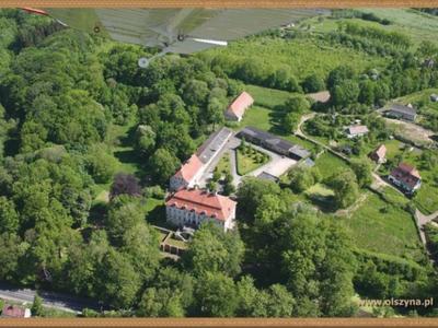 Gmina Olszyna z lotu ptaka