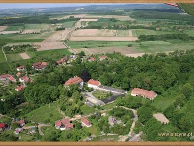 Gmina Olszyna z lotu ptaka