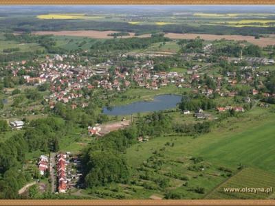 Gmina Olszyna z lotu ptaka