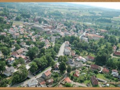 Gmina Olszyna z lotu ptaka