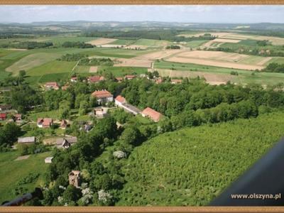 Gmina Olszyna z lotu ptaka