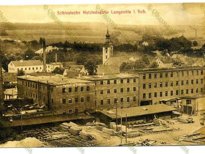 Z cyklu - Olszyna nieznana