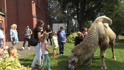 9. wśród atrakcji były m.in. przejażdżki na wielbłądzie,
