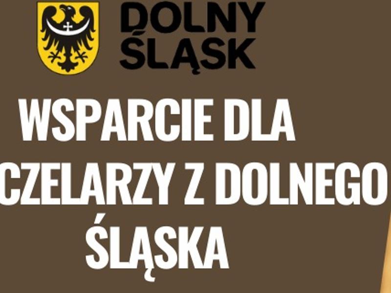 wsparcie