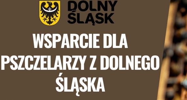 wsparcie