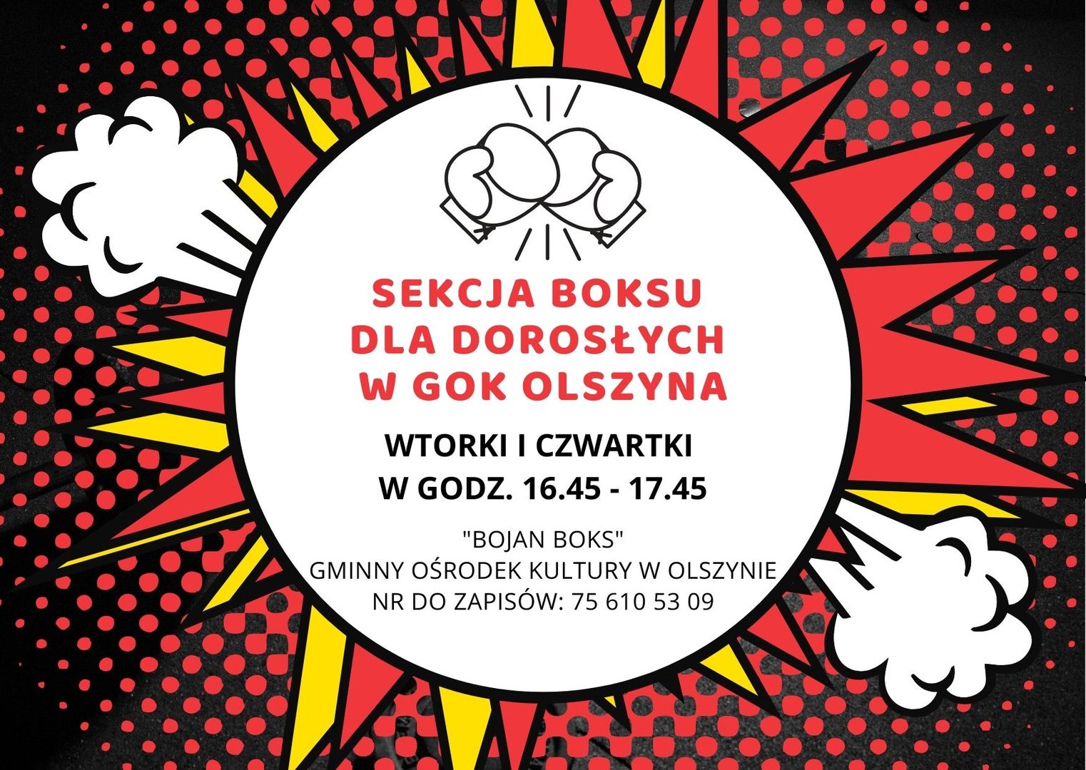 klub_sportowy_bojan_boks_sekcja_dla_doroslych__plakat.