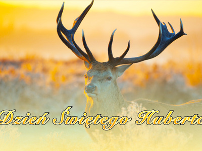 Dzień świętego Huberta