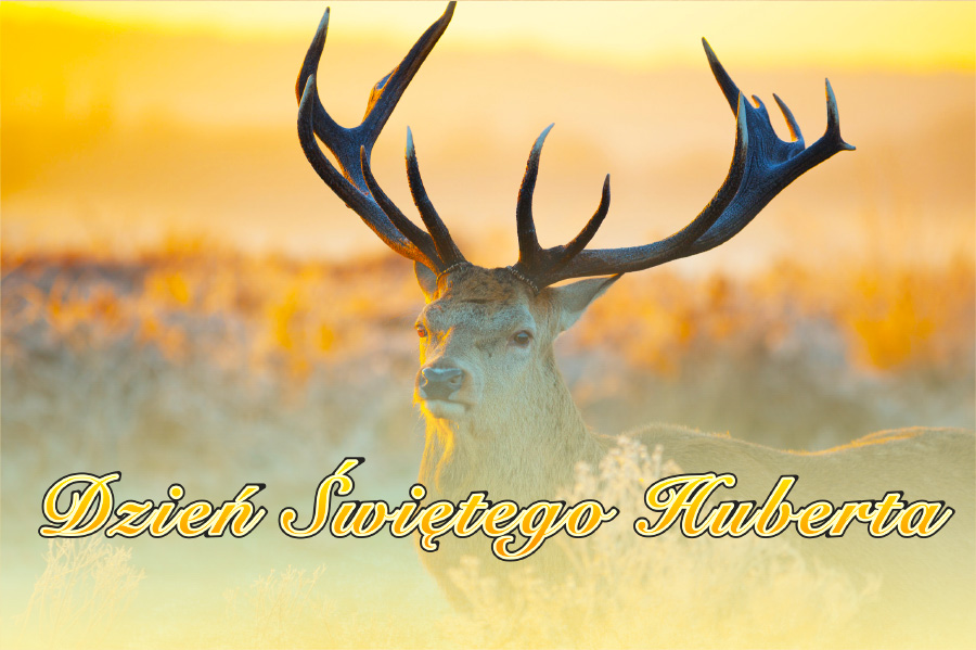 Dzień świętego Huberta
