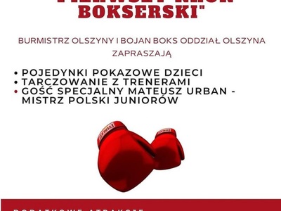 pierwsze kroki bokserskie - plakat