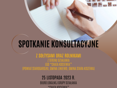 Spotkanie konsultacyjne organizowane w ramach projektu „Debiuty w Partycypacji”. 