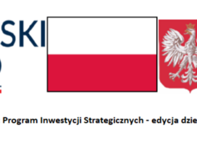 Logotyp Polski Ład, Flaga RP, Godło RP, BGK