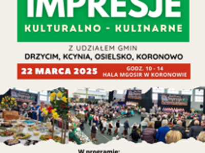 Impresje Koronowo - Plakat wydarzenia