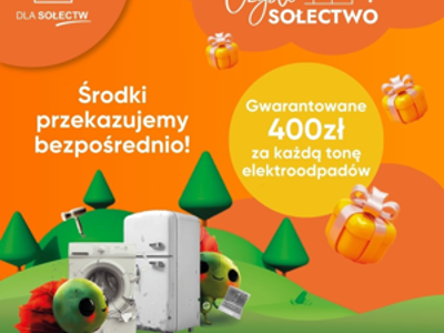 Czyste sołectwo